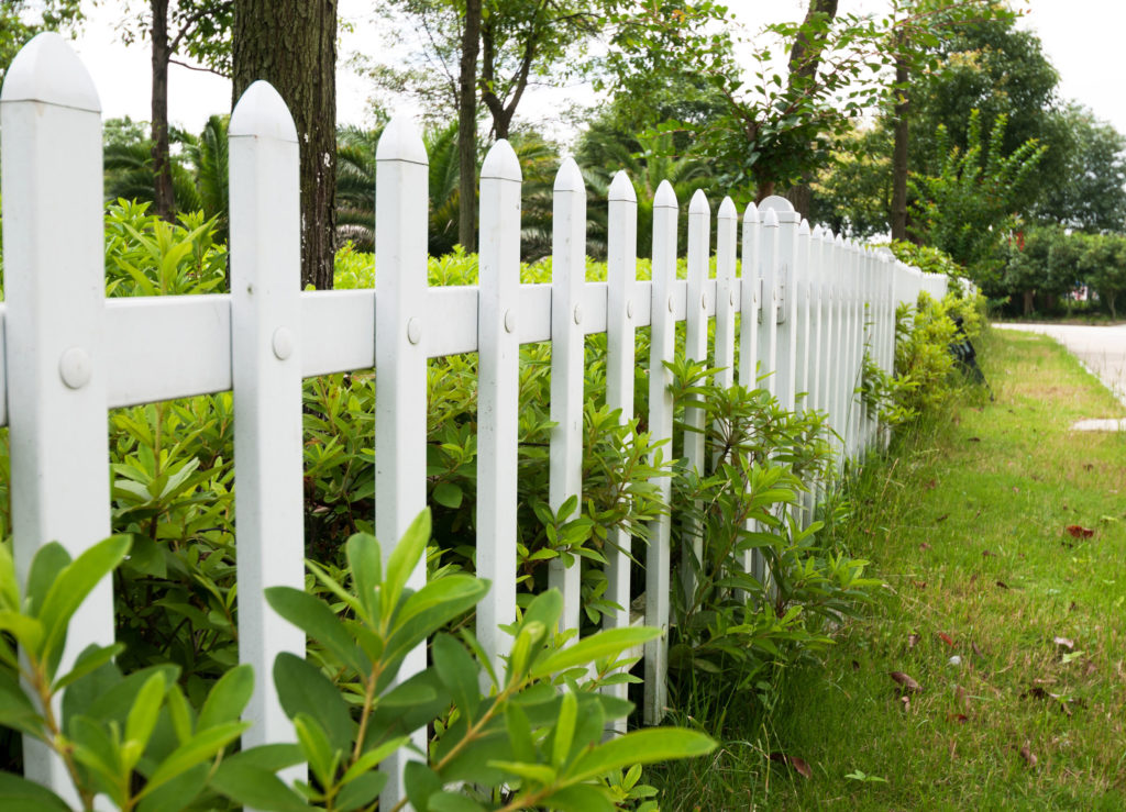 invisible fence charlotte